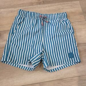 Teal and White Striped Swim Shorts